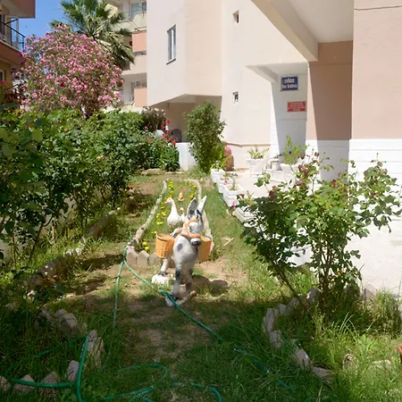 Ahmeda Apart-hotel Ayvalı