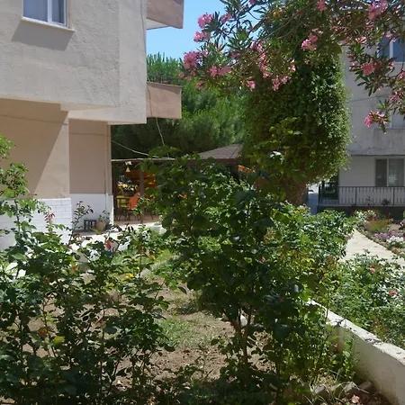 Ahmeda Ayvalik