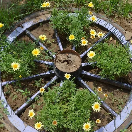 شقة فندقية Ahmeda